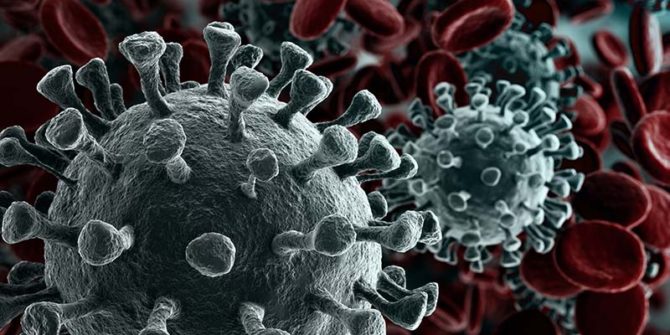 Corona Virus